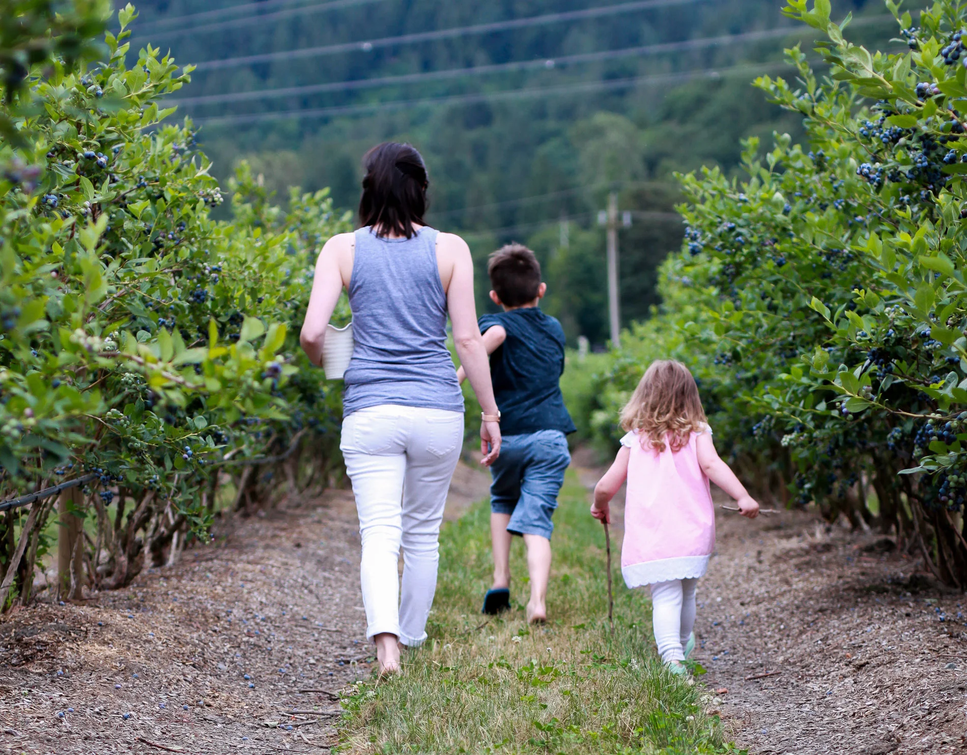 SequelPhotography-Blueberry(4of7).jpg