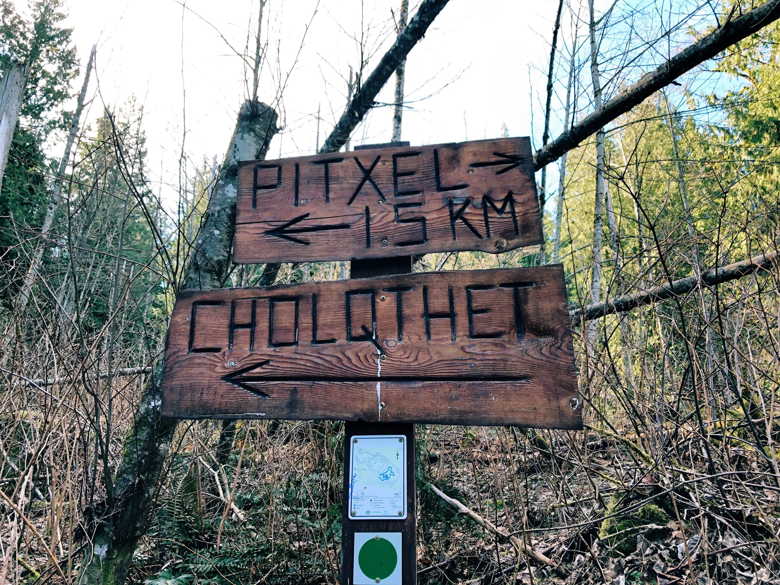 Chilliwack Community Forest_4.jpg