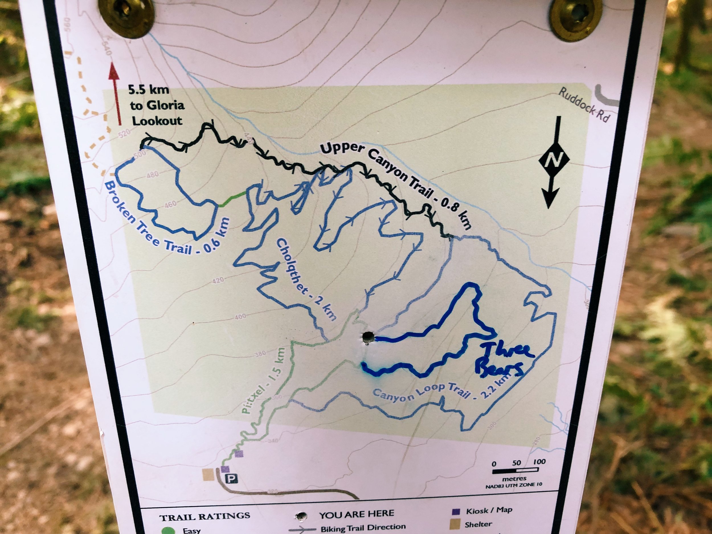 Chilliwack Community Forest_7.jpg