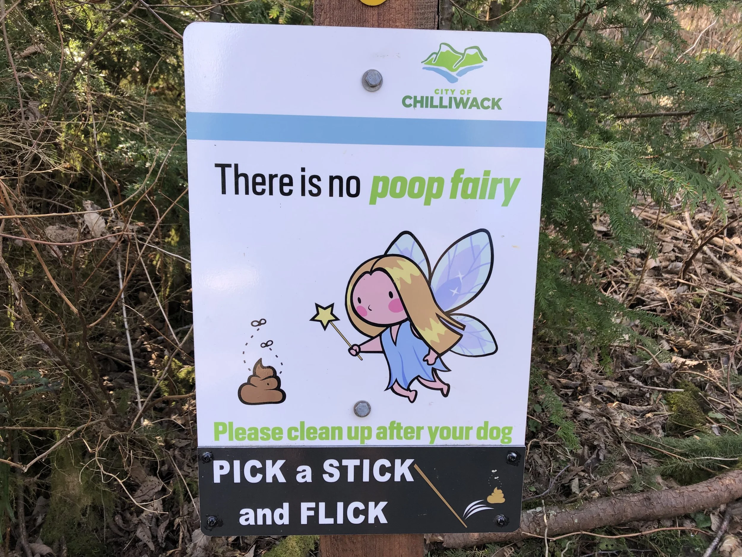 Chilliwack Community Forest_8.jpg