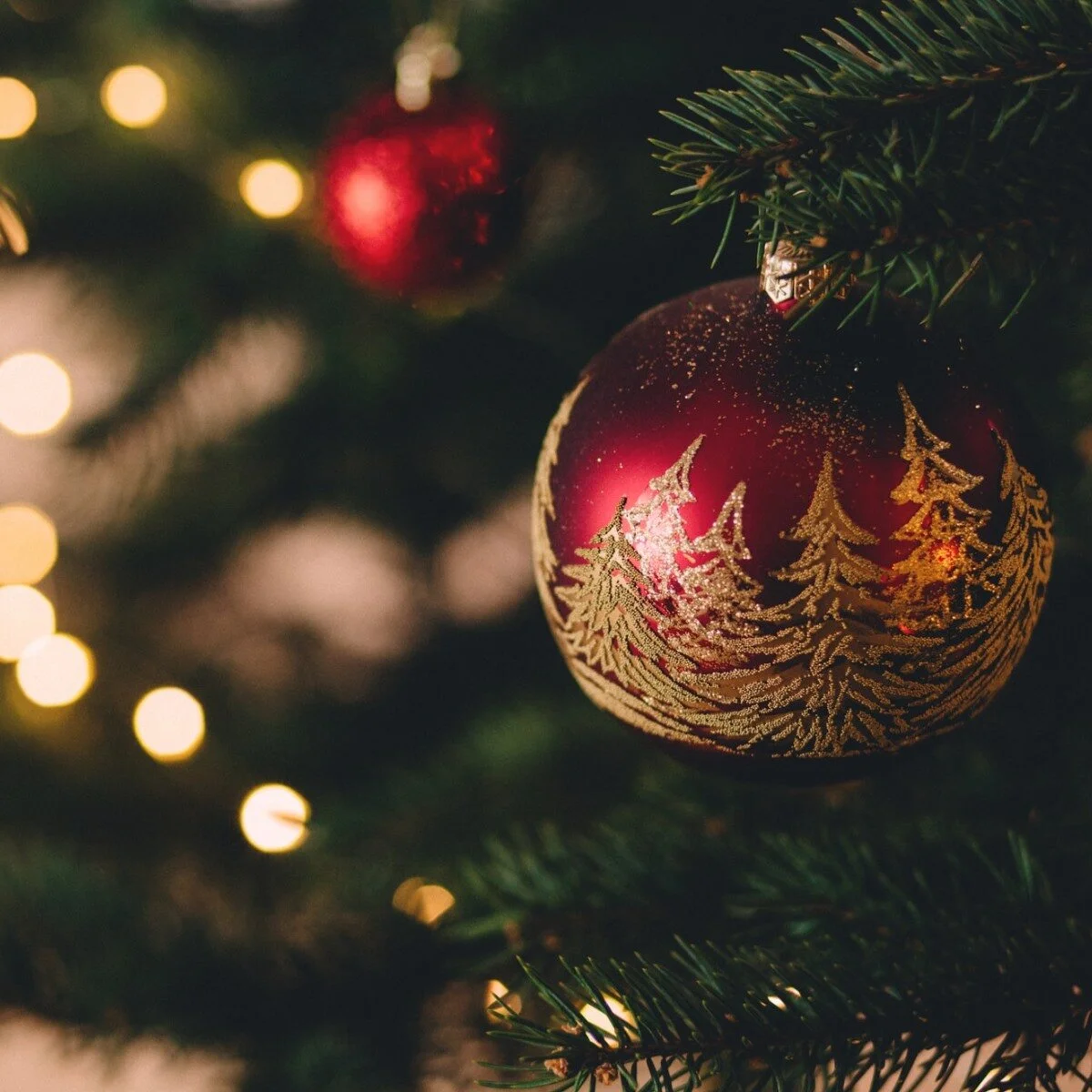 Ryder Lake Christmas Fair.jpg
