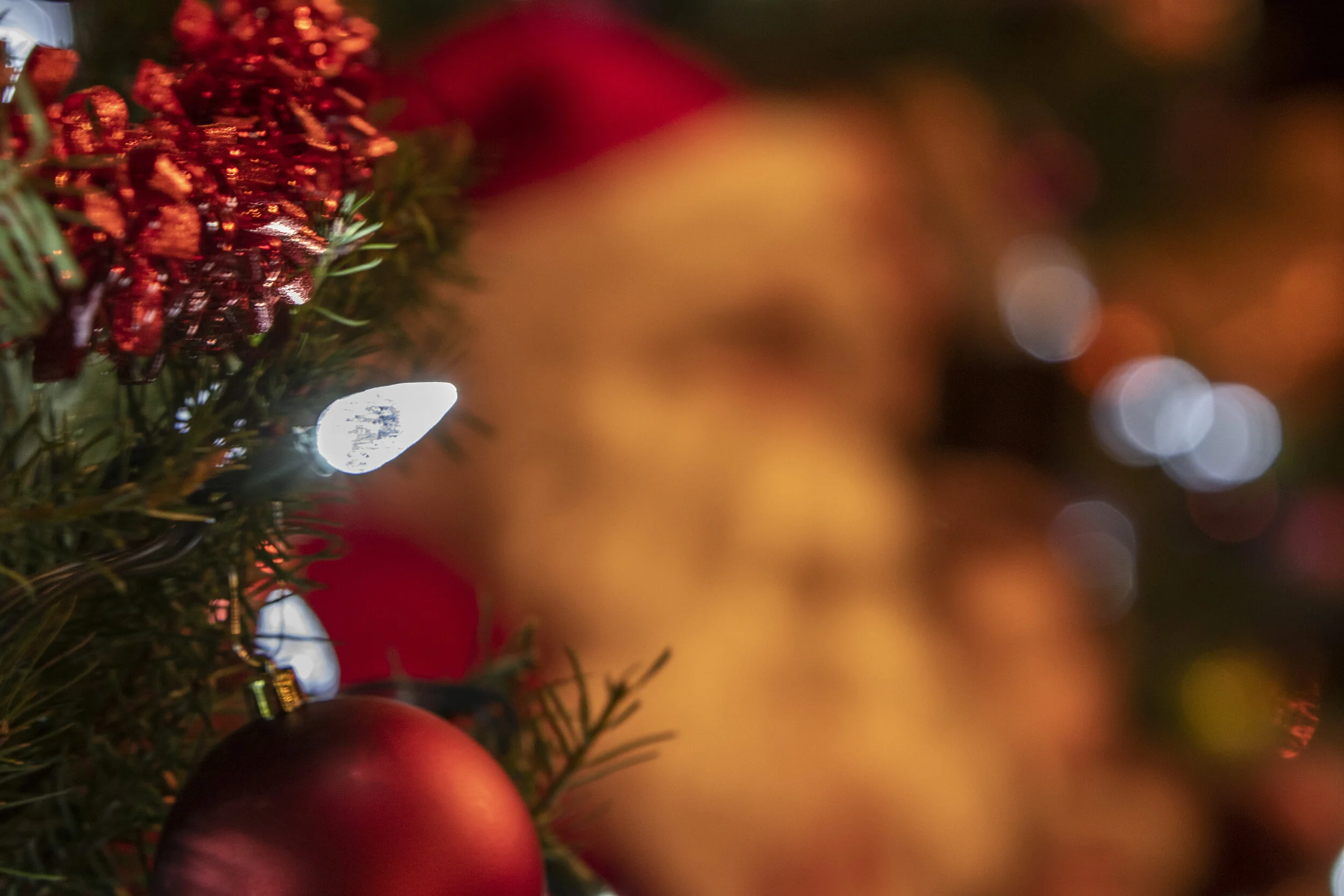 Cultus Lake Christmas - Main Beach2.jpg