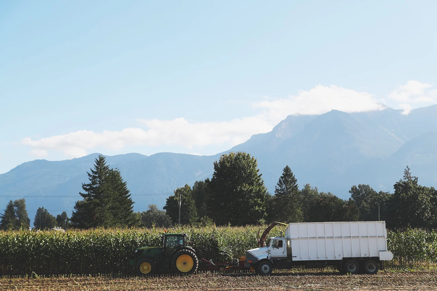 Chelmick Farm Chilliwack Agriculture Tour - West River Farm — Around Chilliwack