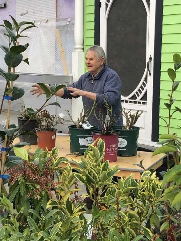 Pruning: The Abridged Version