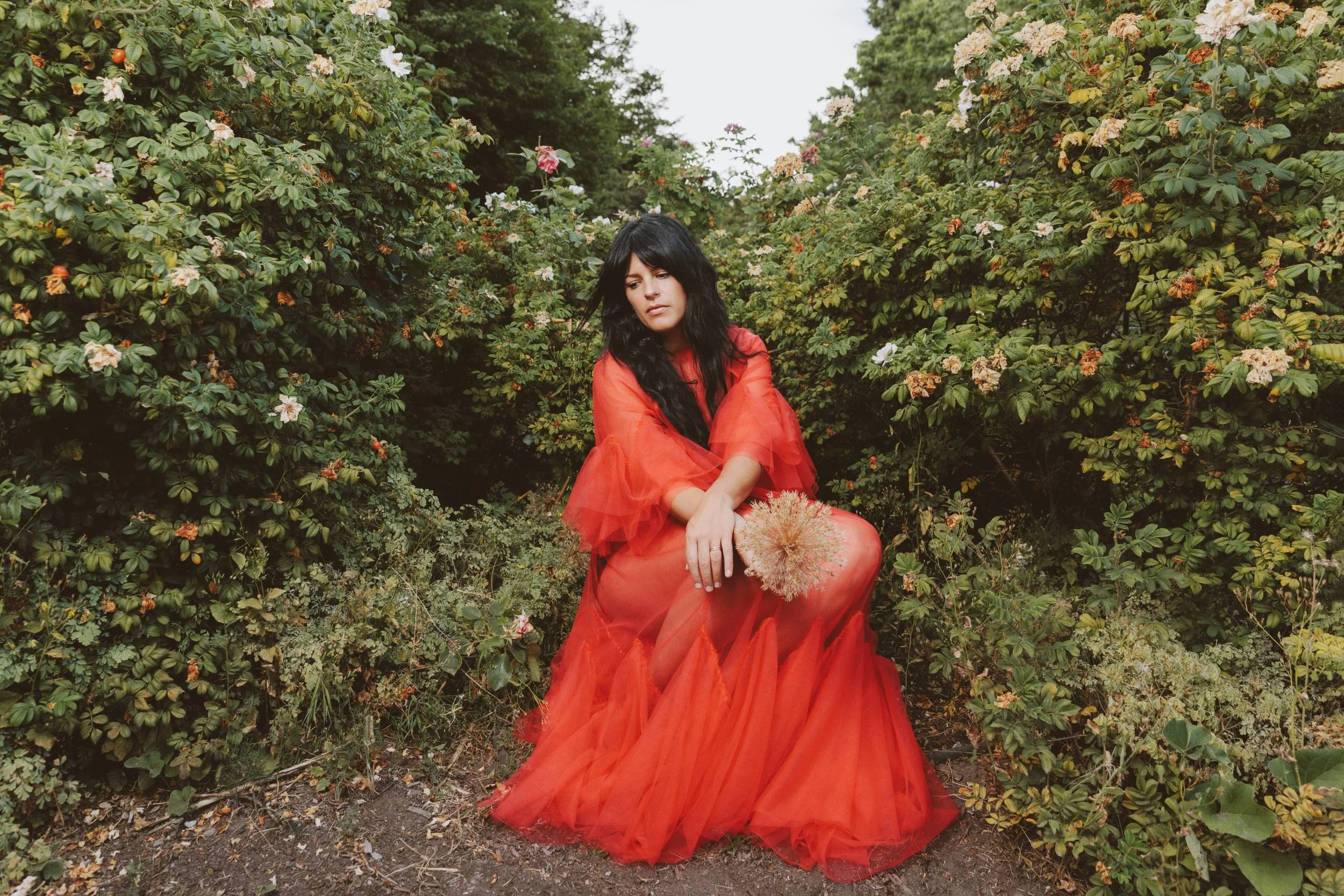 Larkk - Chilliwack Cultural Centre