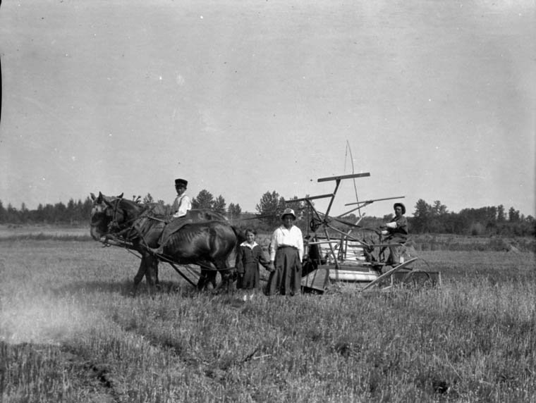 Bibliothèque et Archives Canada  PA-018235
