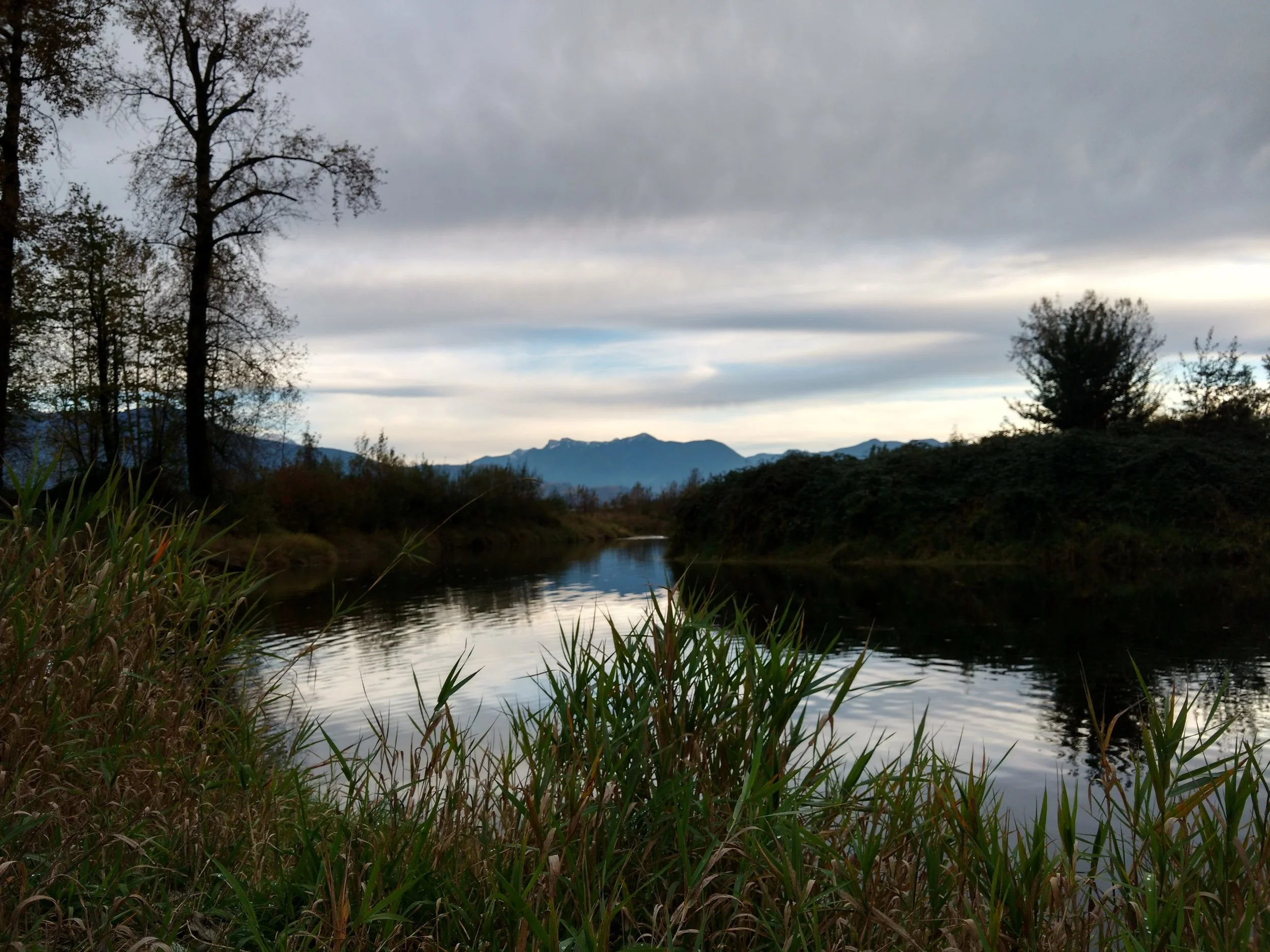 IMG_20161022_164443006_HDR.jpg