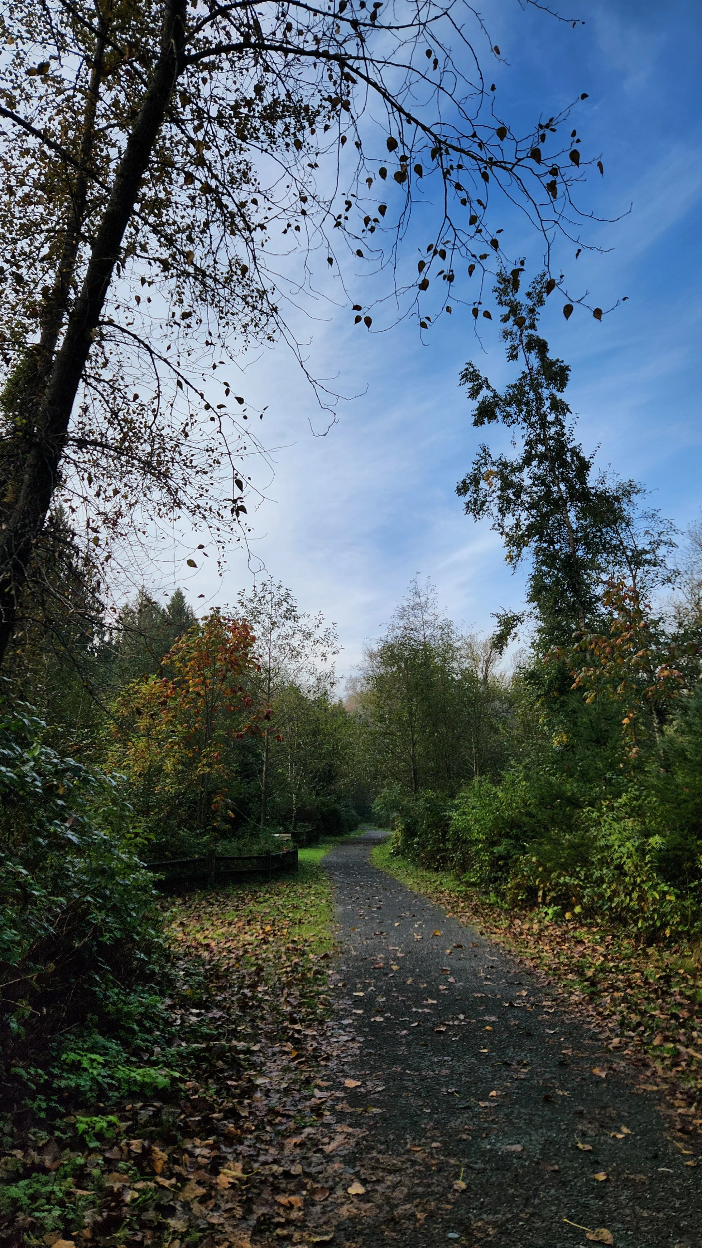 Skip the Vedder Trail: 5 Quieter Walks Around Chilliwack