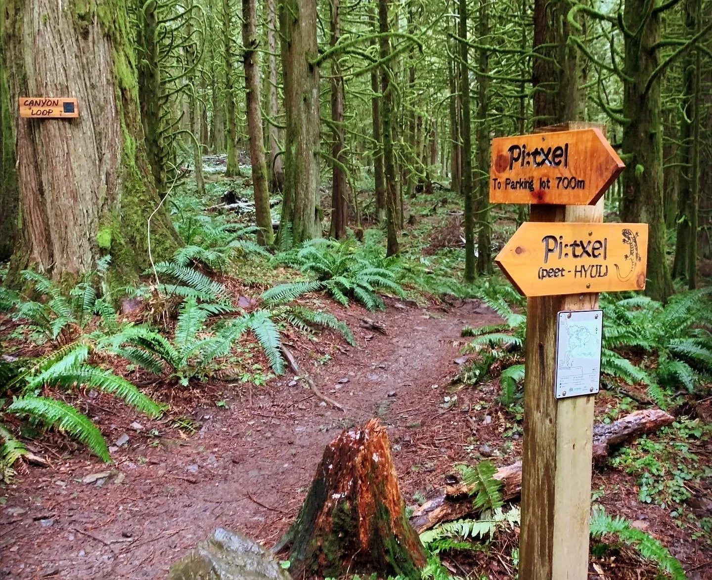 BC Trails Day 2026 - Chilliwack Community Forest
