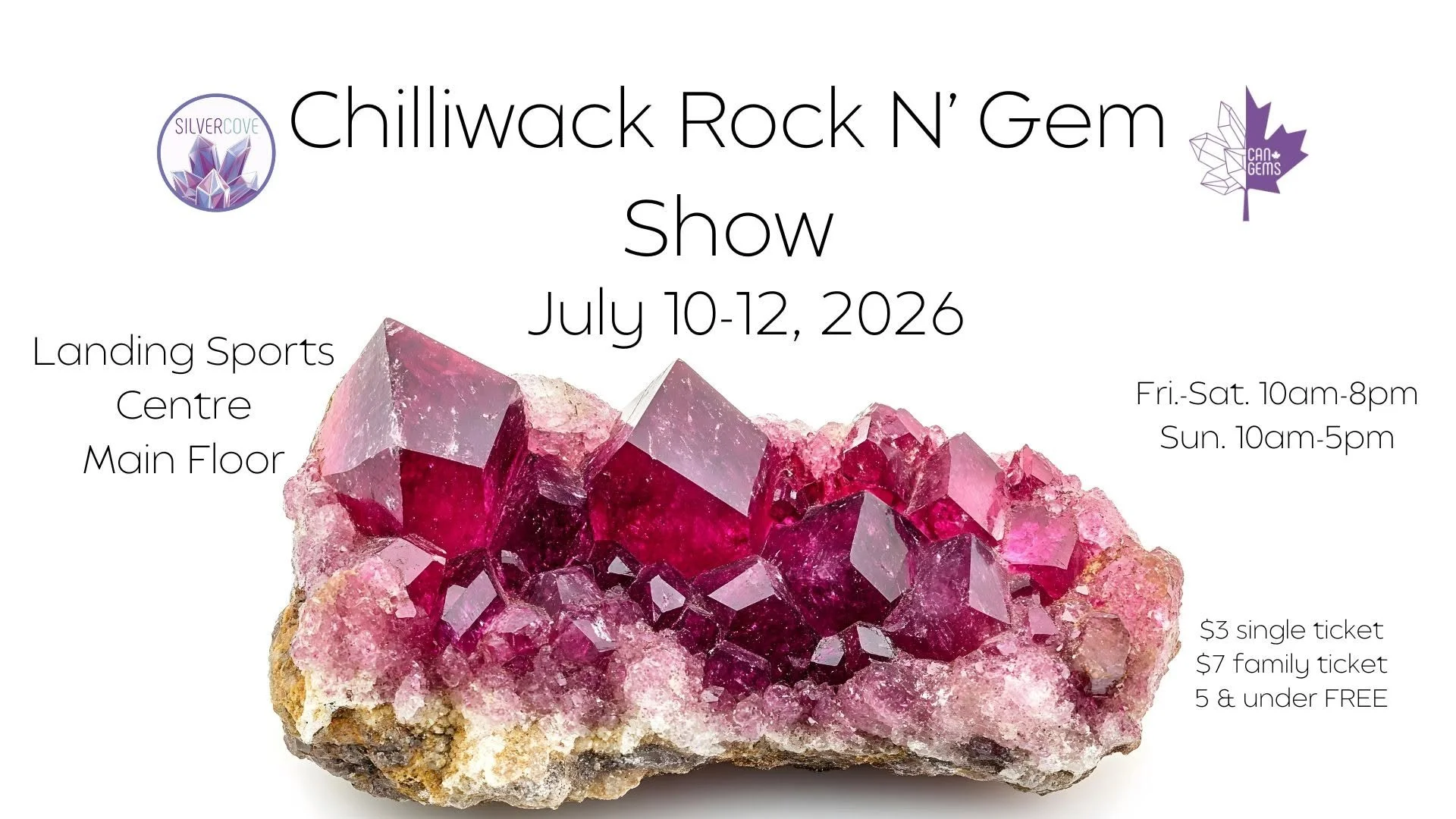 Chilliwack Rock n Gem Show 2026 (Day 3)