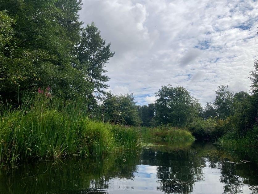 Wetland Ecology Walk