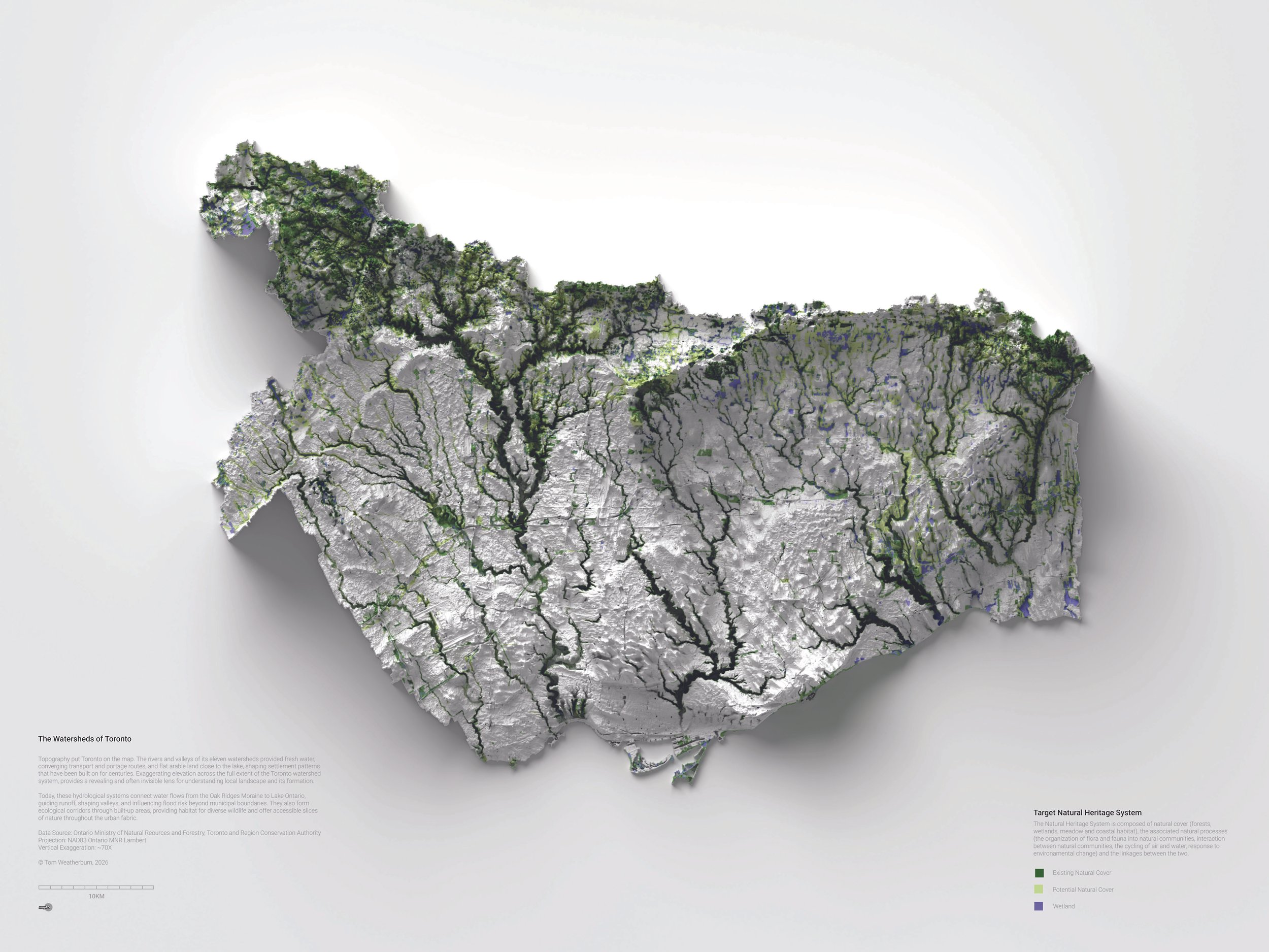 02 - green - sqsp - full.jpg