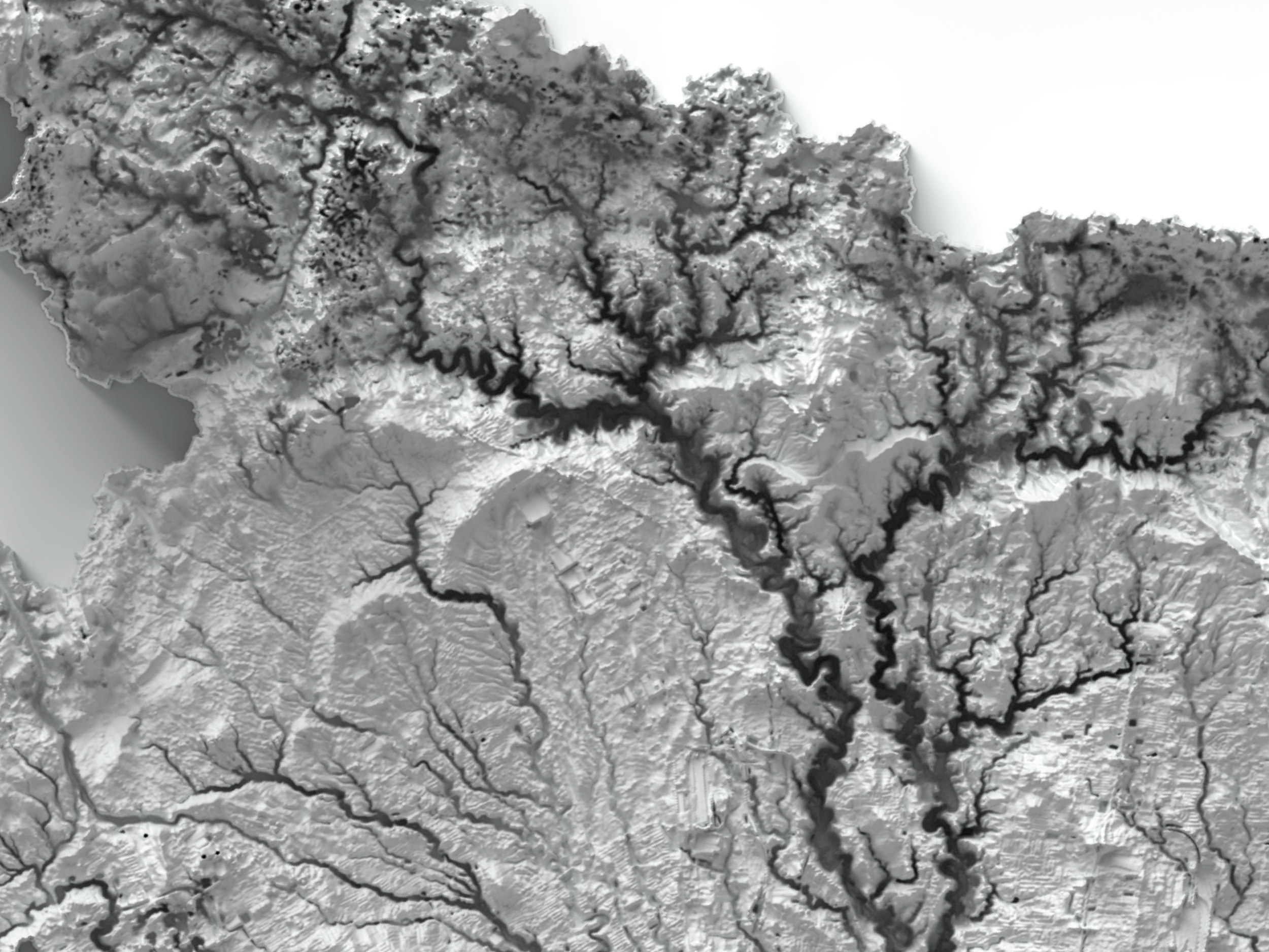 01_blank - sqsp - detail.png