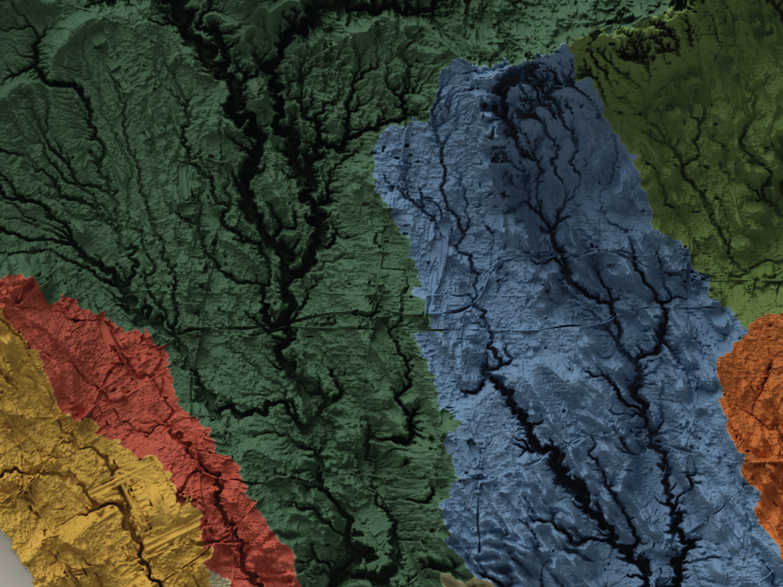 02 - werner - sqsp - detail lrg.png