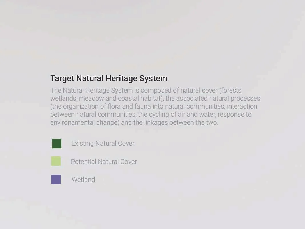 02 - green - sqsp - lgnd.jpg