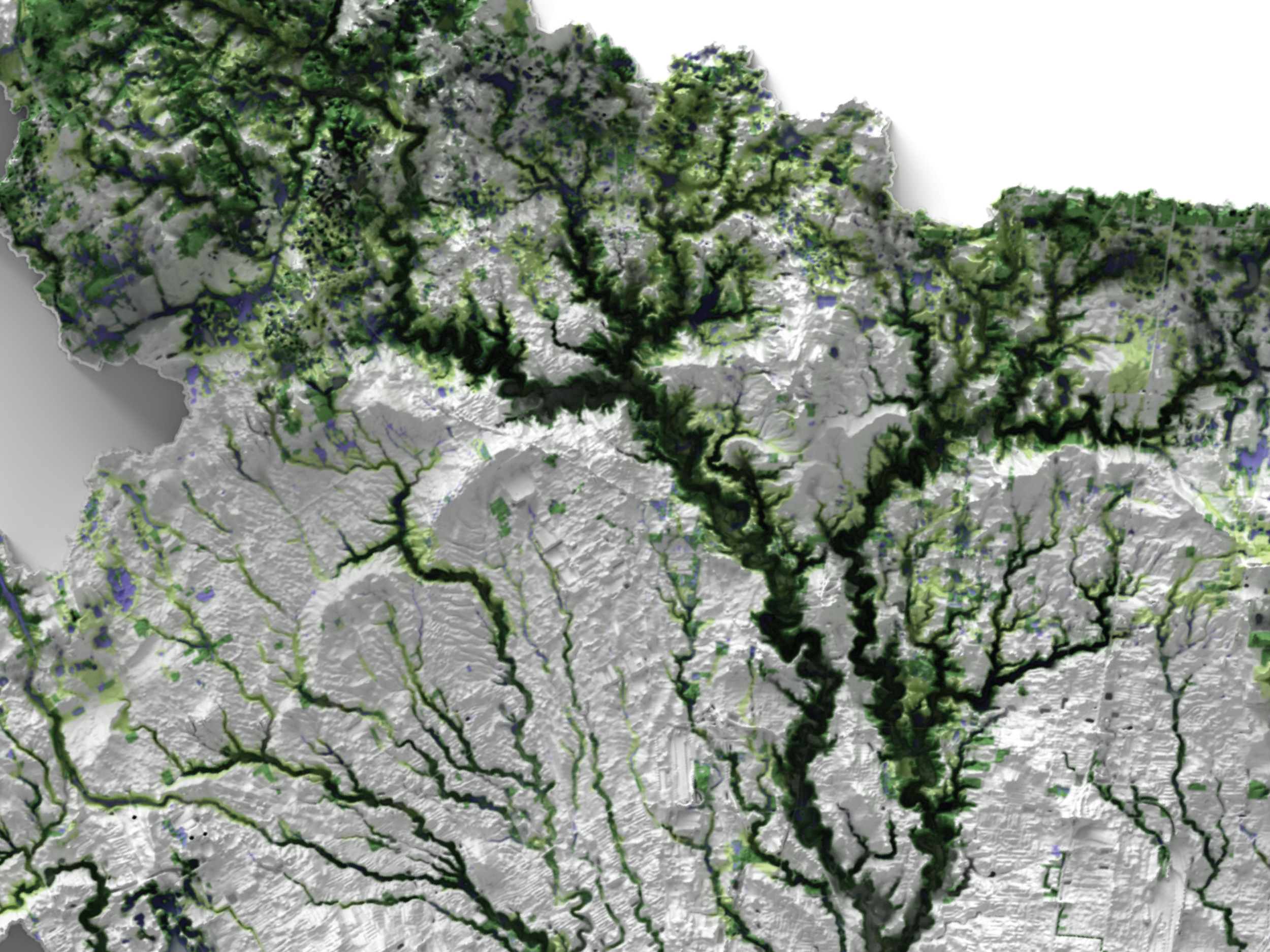 02 - green - sqsp - detail.png