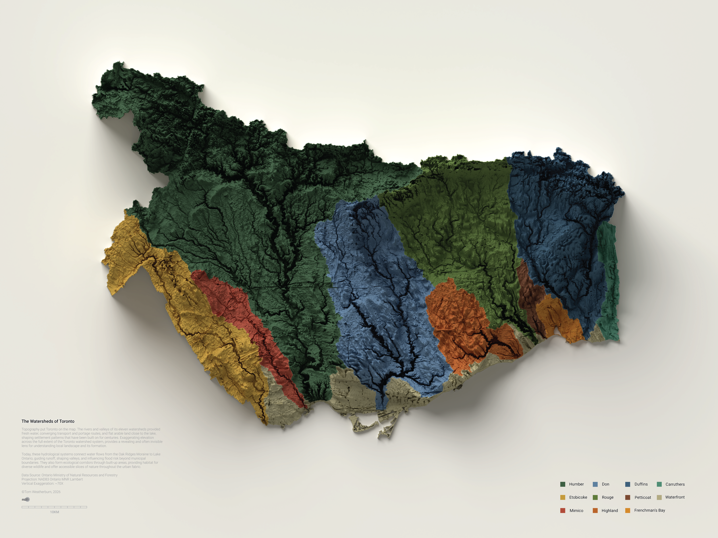 02 - werner - sqsp - full.png