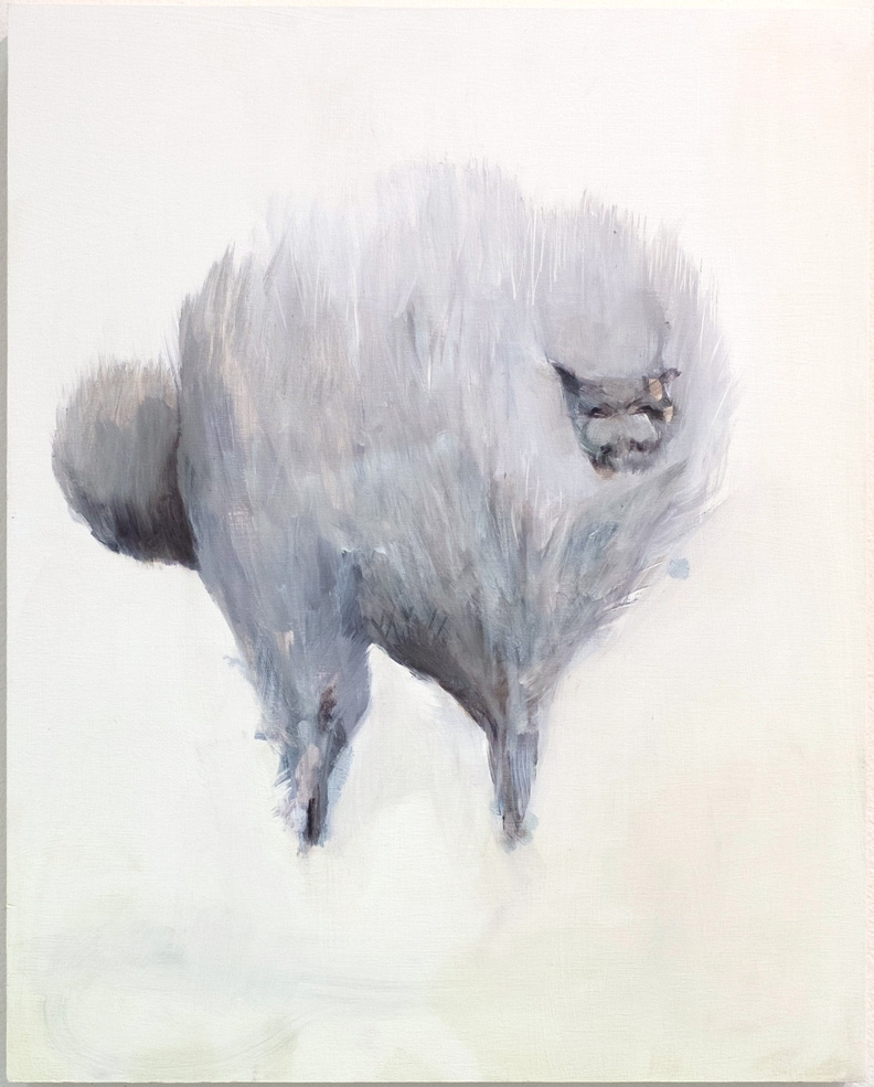   Fluffy cat , 2015, oil on wood, 16 x 20 inches 