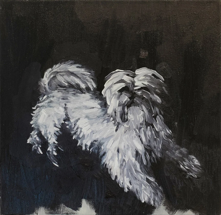 Decoration dog , 2014, Oil on canvas, 12 x 12 inches