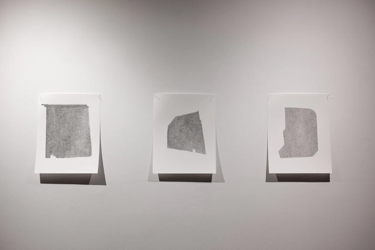 Hiding spot , 2016, 2016, Graphite on paper, 11 x 14 each