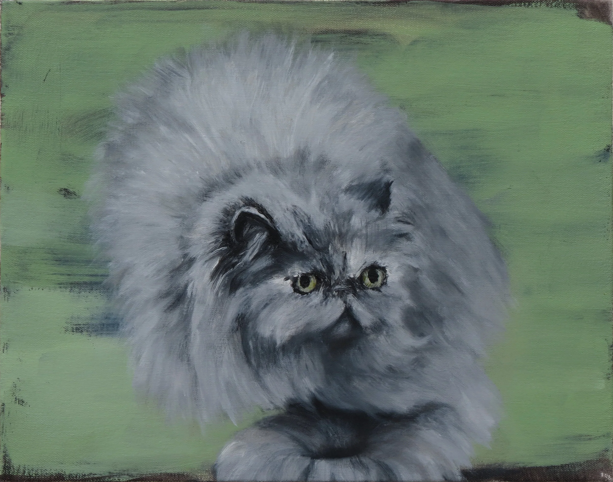 Magic cat , oil on canvas, 9 x 12 inches