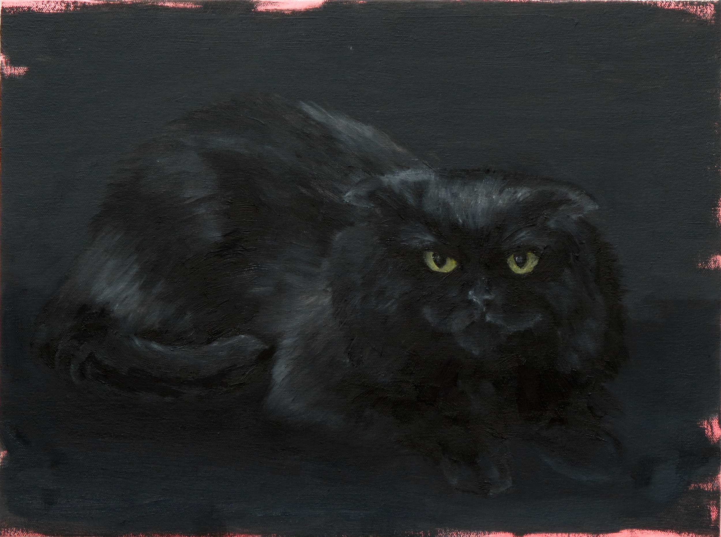   Untitled (black cat) , oil on canvas, 12 x 16 inches 