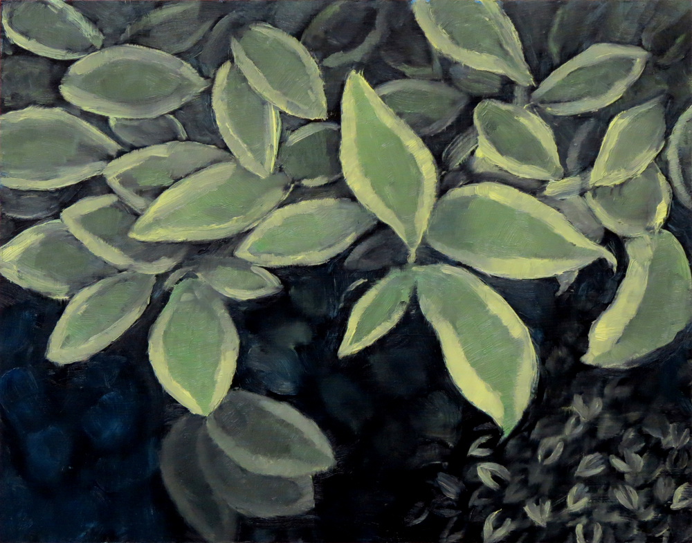  Dogwood , Oil on panel, 11 x 14 inches 