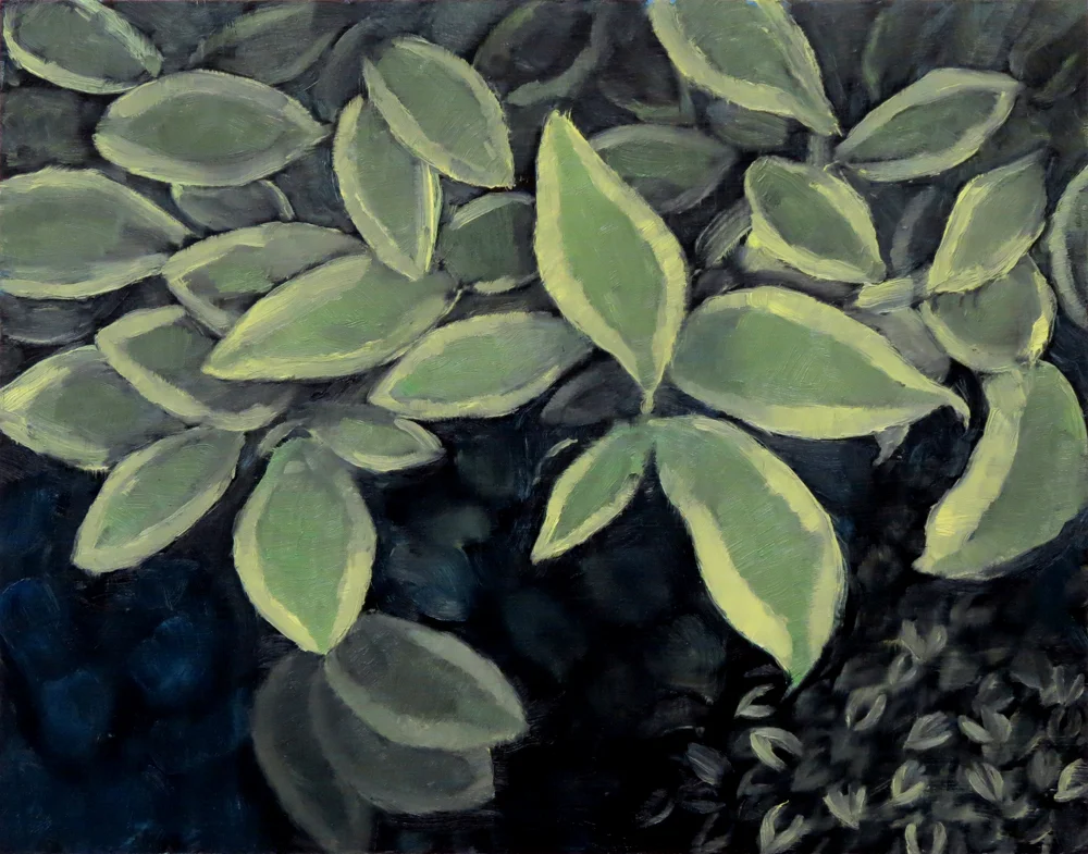 Dogwood , Oil on panel, 11 x 14 inches