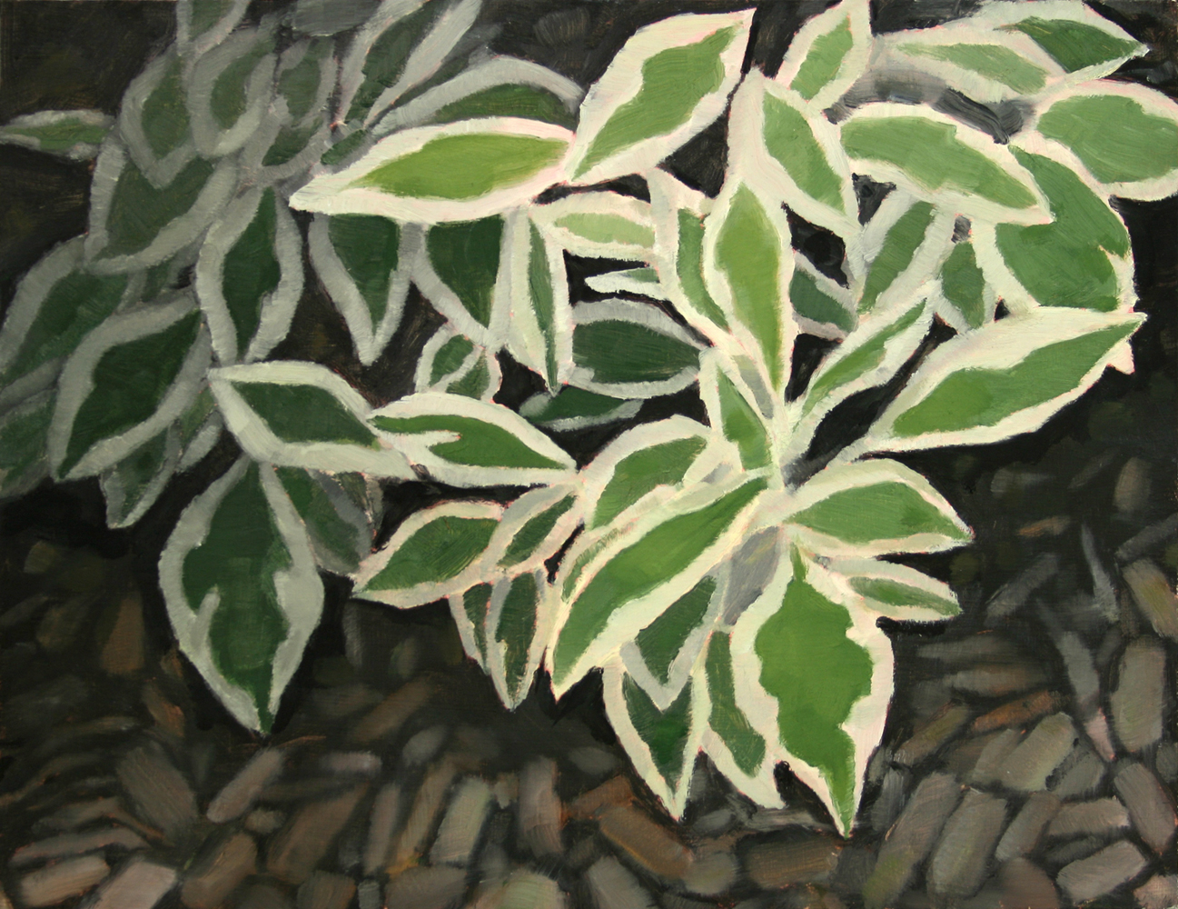   Dogwood (3) , Oil on panel, 12 x 16 inches 