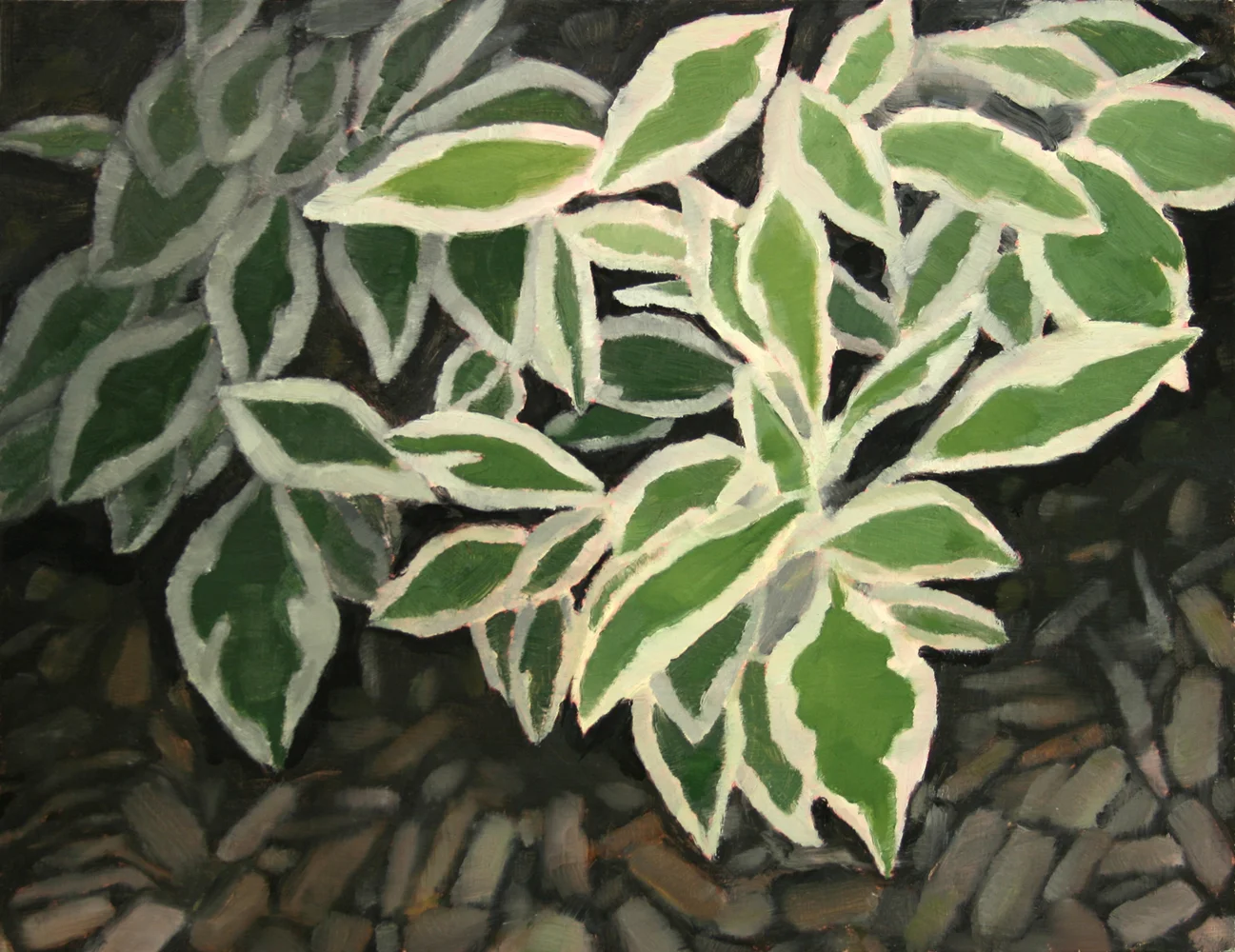 Dogwood (3) , Oil on panel, 12 x 16 inches
