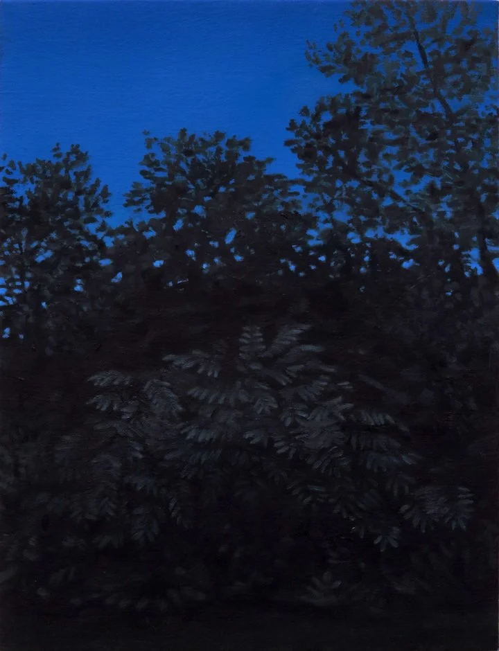   Dusk , 2024, Oil on canvas, 12 x 16 inches 