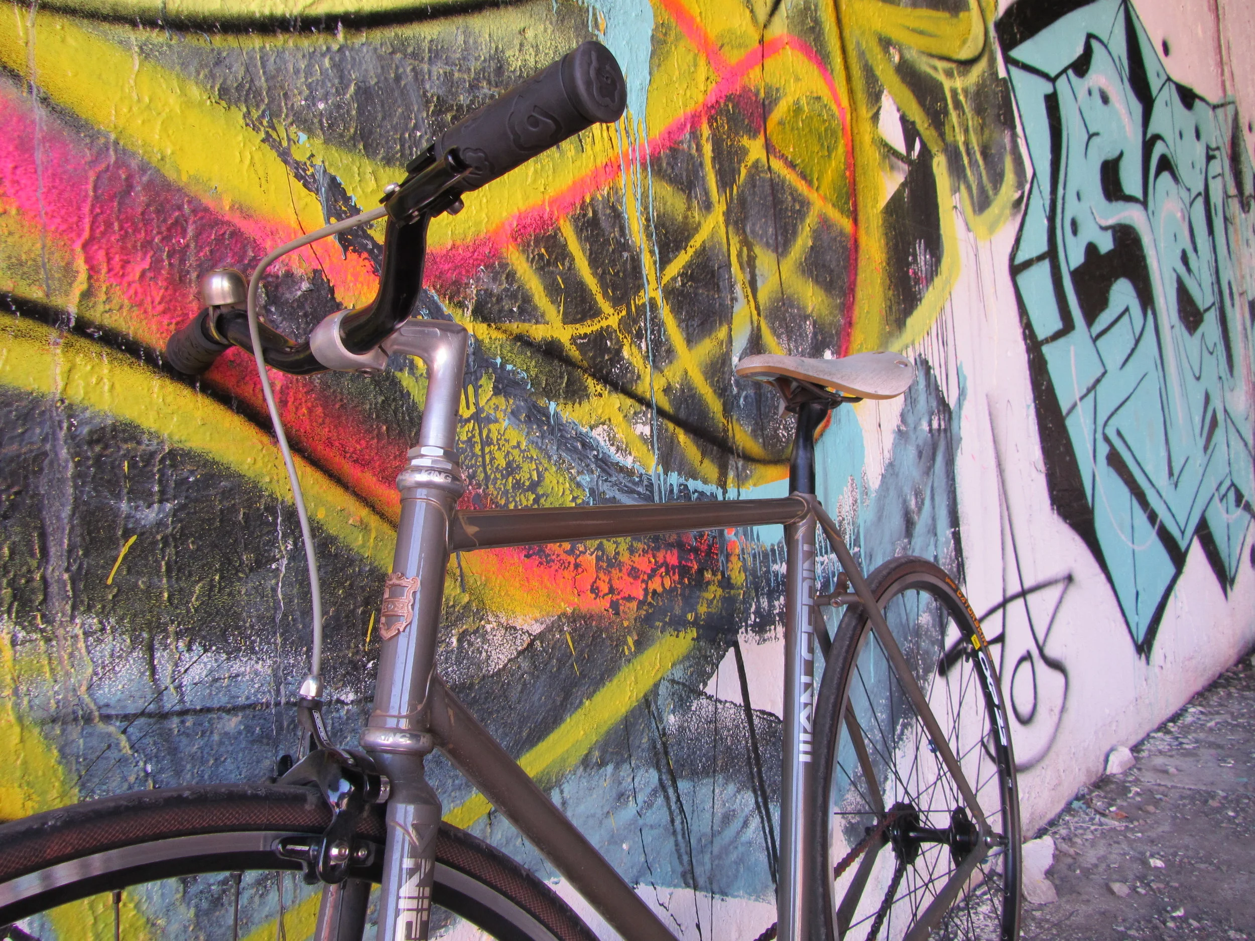  Lugged construction  Steel tubing, Nova cycles  Clear powder coat finish over sandblasted metal, brushed metal branding  Used components, 700c wheels  Custom 3D printed dinosaur  $2800 total cost 