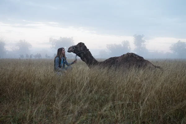 Getting over the hump