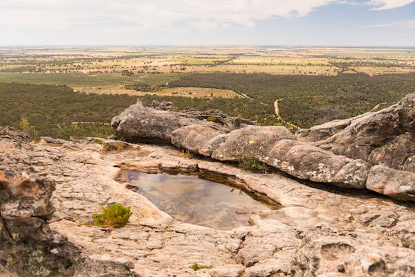 Chasing bunyips in the Grampians
