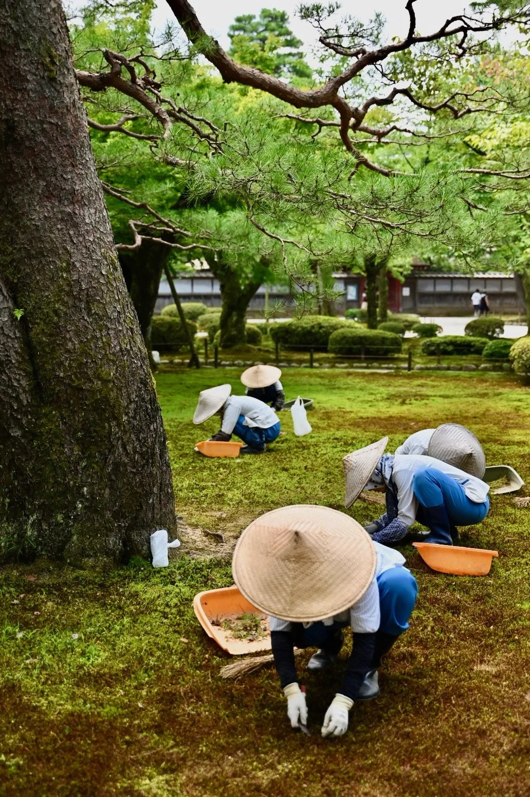 72 hours in Kanazawa - Escape (The Herald Sun)