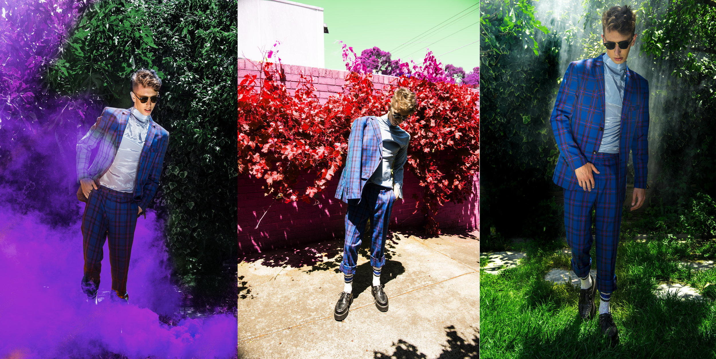 SEB GARDEN.jpg