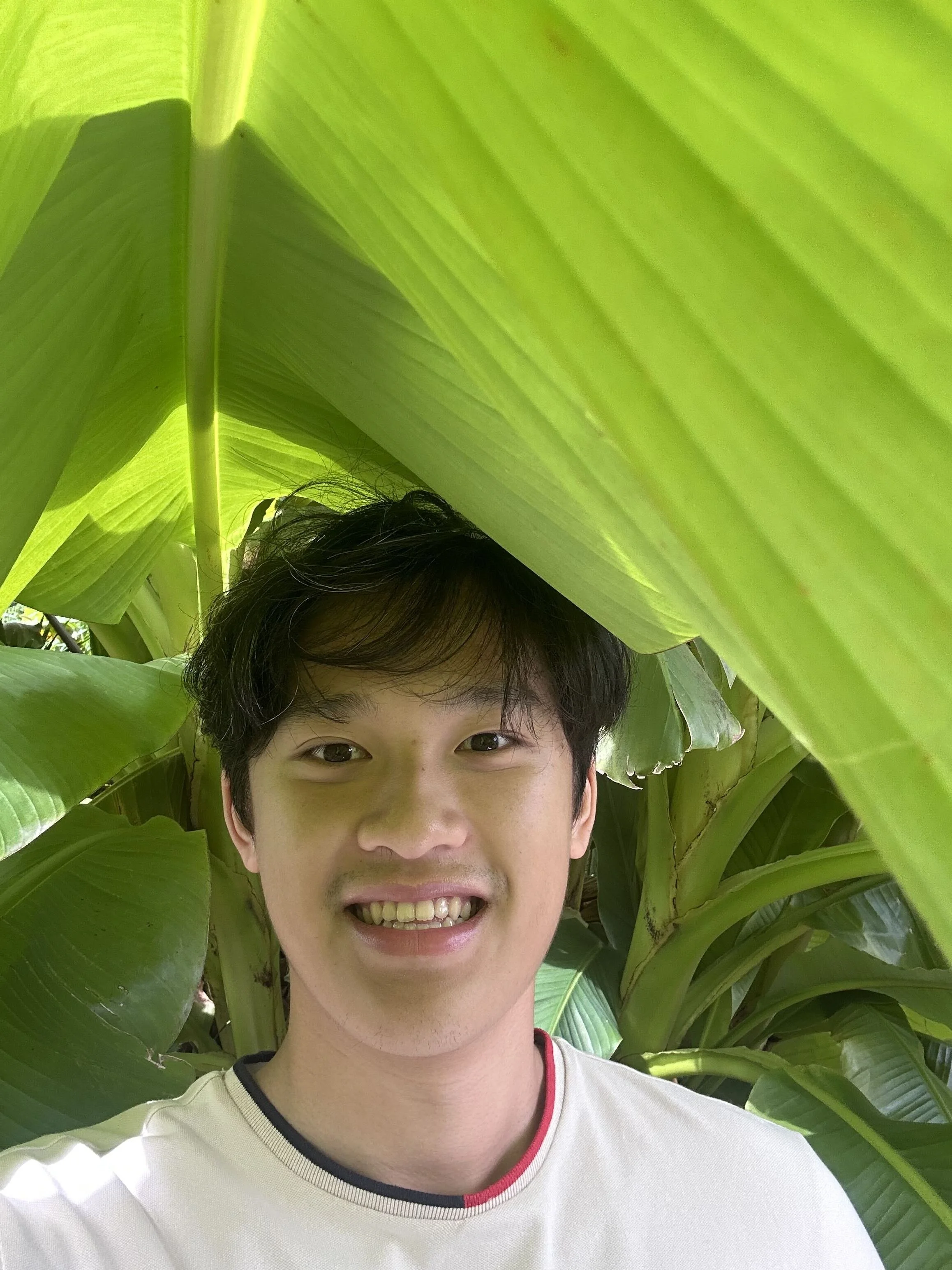 Dian Yang