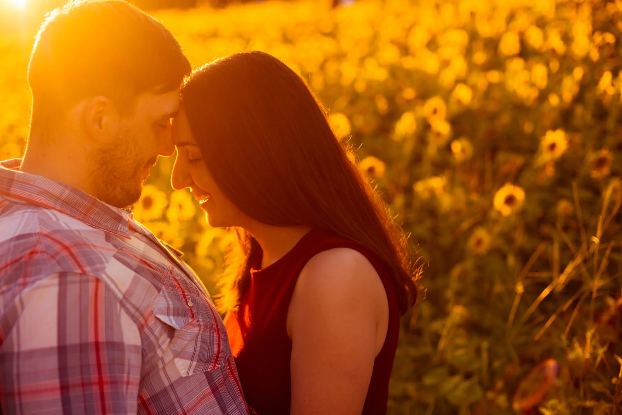 Alysia & Jerad // Sunflowers at McKee Beshers Wildlife Management Area // Poolesville MD