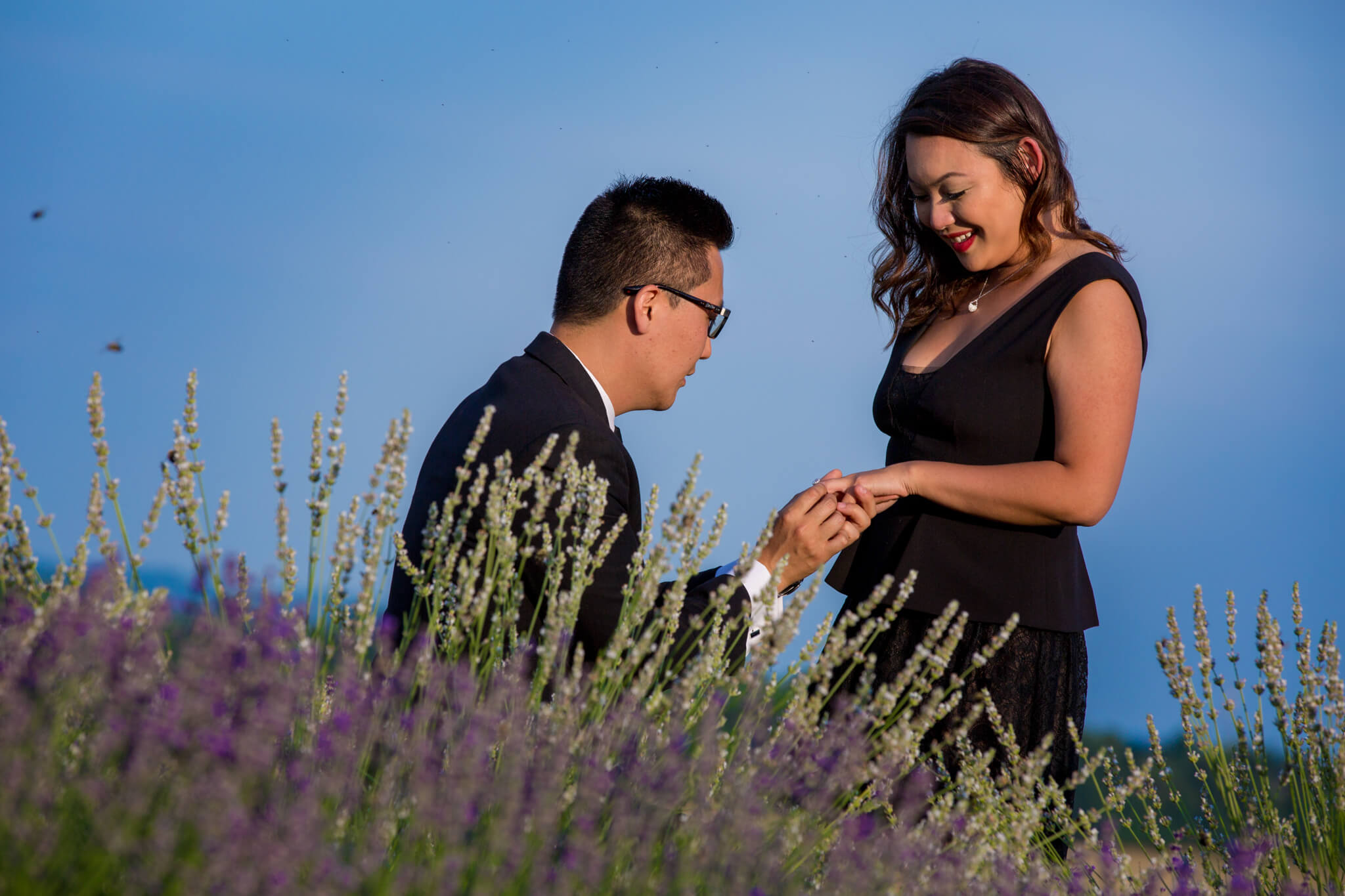 Jennie Steve Engagement Springfield Manor Winery Distillery Brewery Lavendar Field Grape Vines Thurmond MD-4.jpg