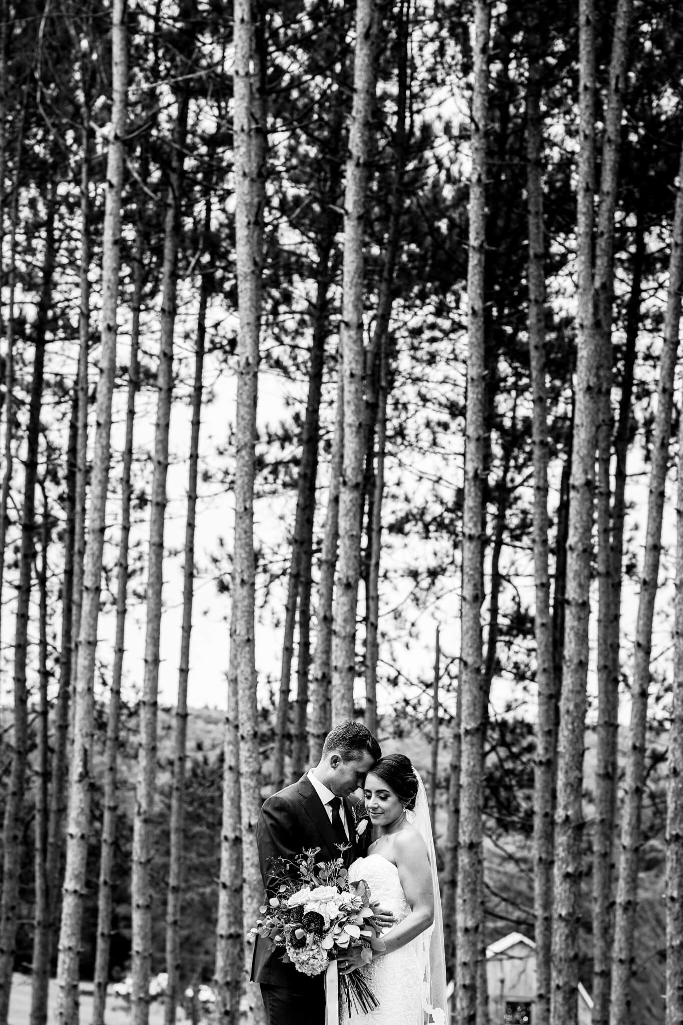 Lisa Jonathan Homestead Blessings Farm Corning NY Wedding Barn Trees Nature-33.jpg