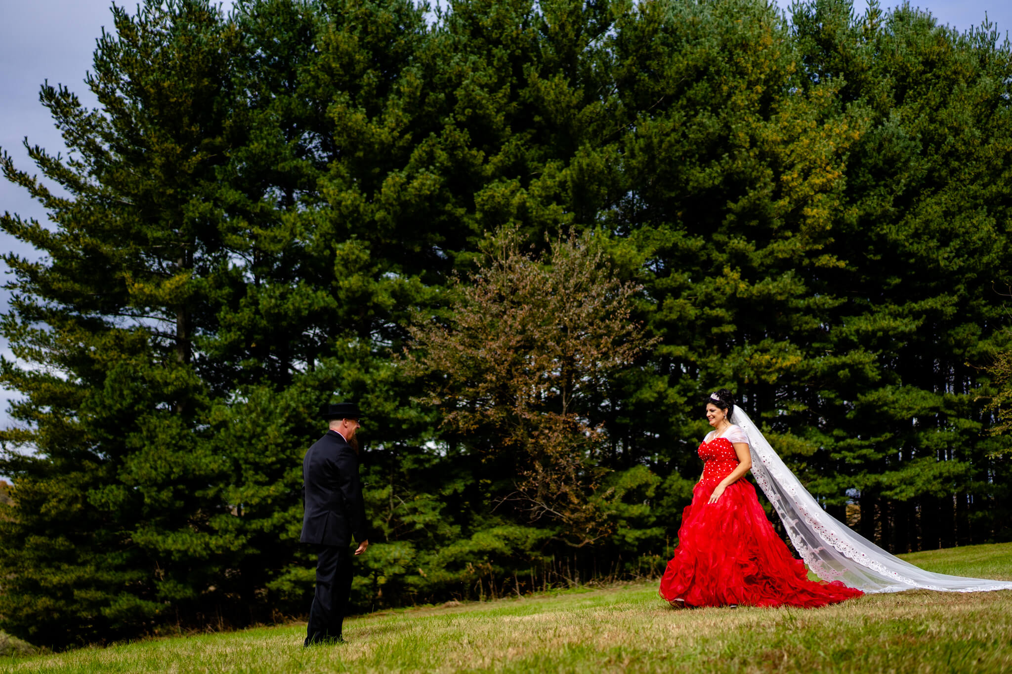 Maria Scott Backyard Wedding Cinderella Carriage Red Wedding Dress Lakeside Horse Drawn Carriage Roses-4.jpg