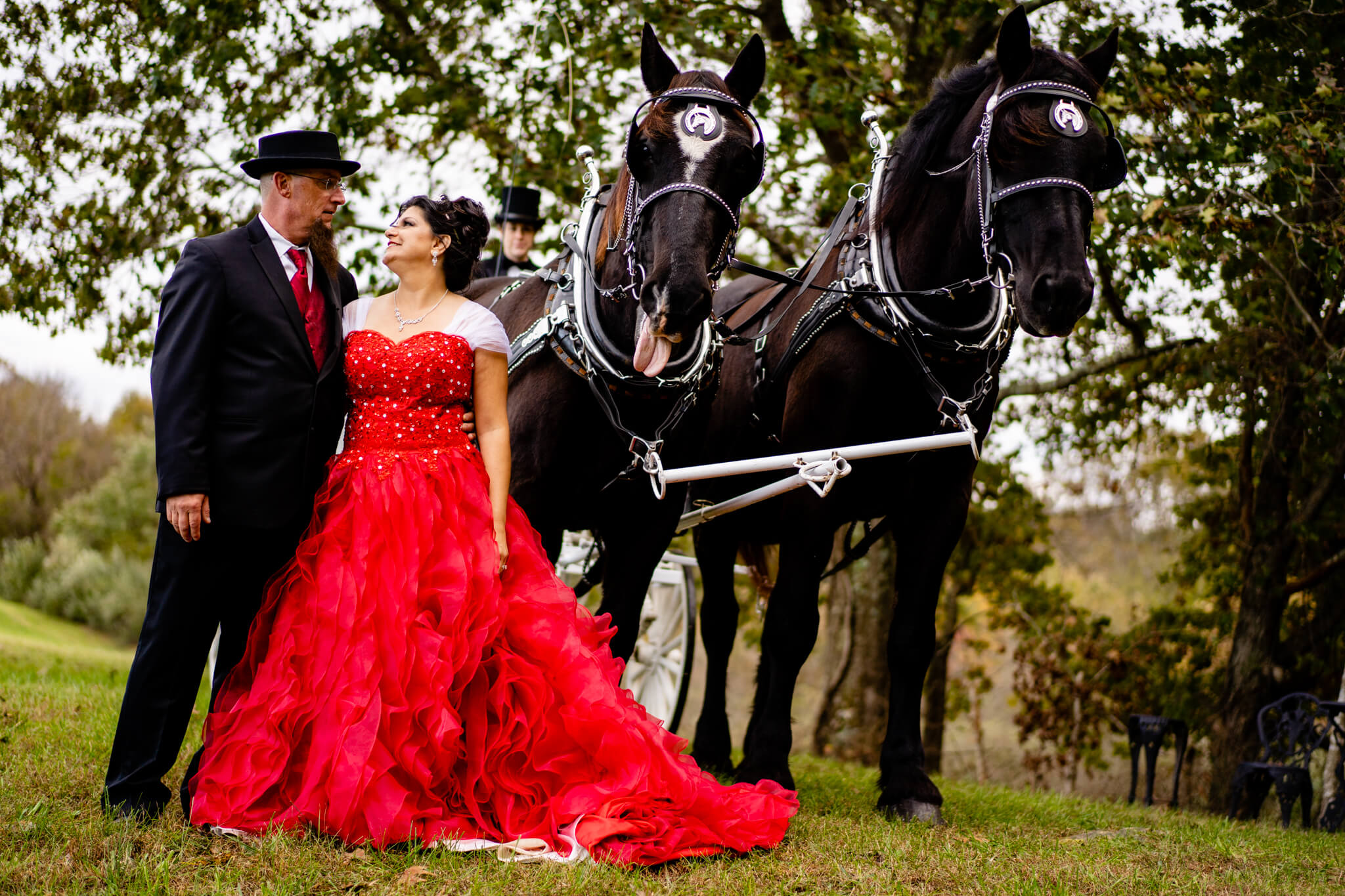 Maria Scott Backyard Wedding Cinderella Carriage Red Wedding Dress Lakeside Horse Drawn Carriage Roses-13.jpg