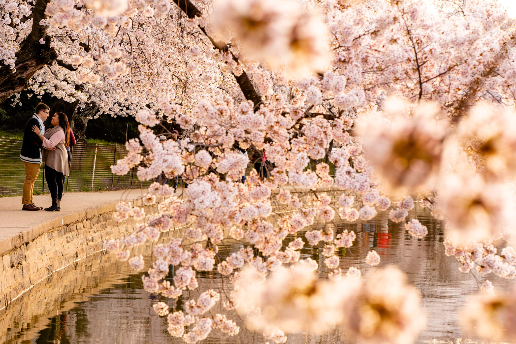 Liz Joe DC Cherry Blossom Engagement Tidal Basin Jefferson Memorial Washington Monument Engaged4.jpg