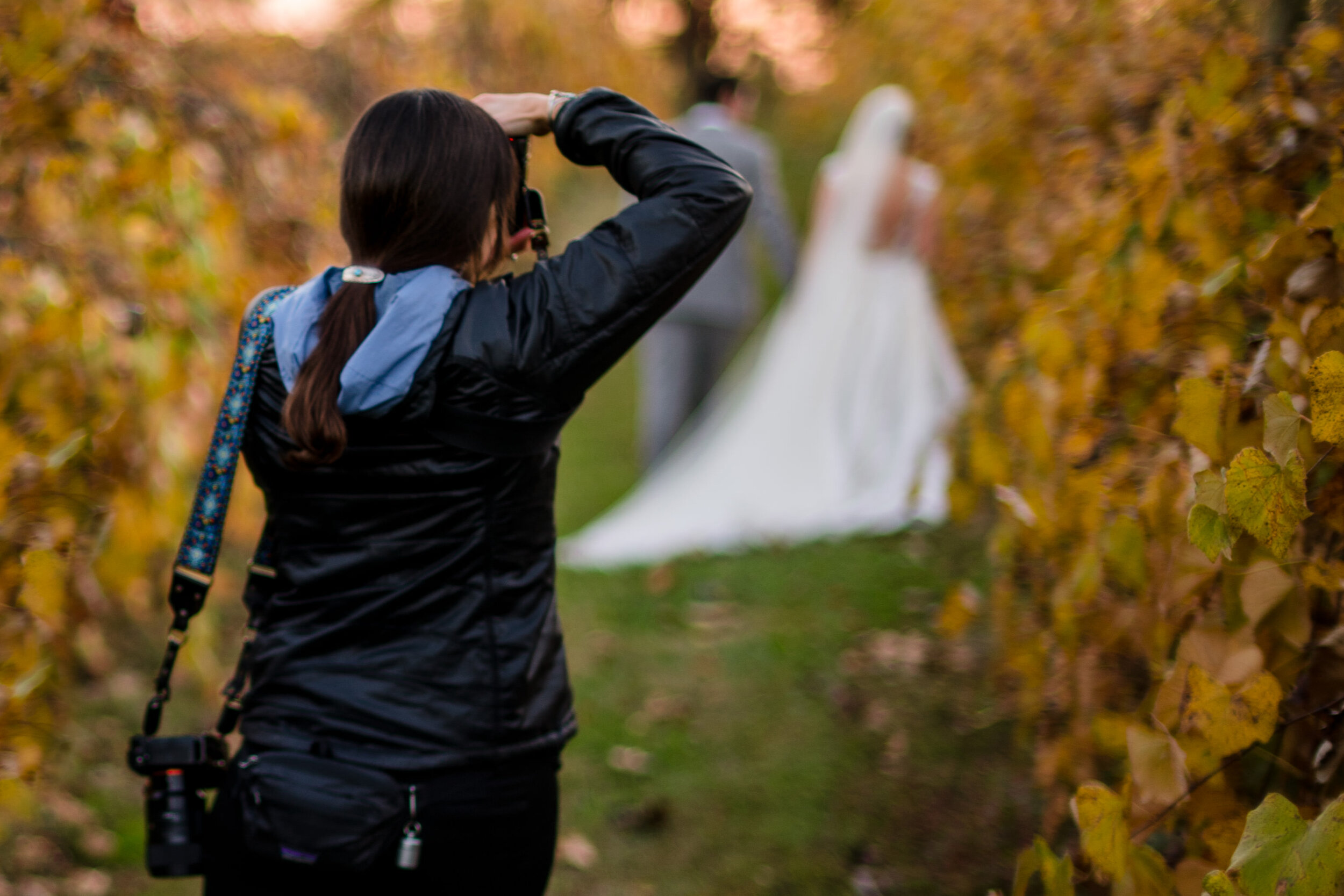 bluemont-vineyard-elopement-virginia-winery-wedding-behind-the-scenes-dc-wedding-photographer.jpg