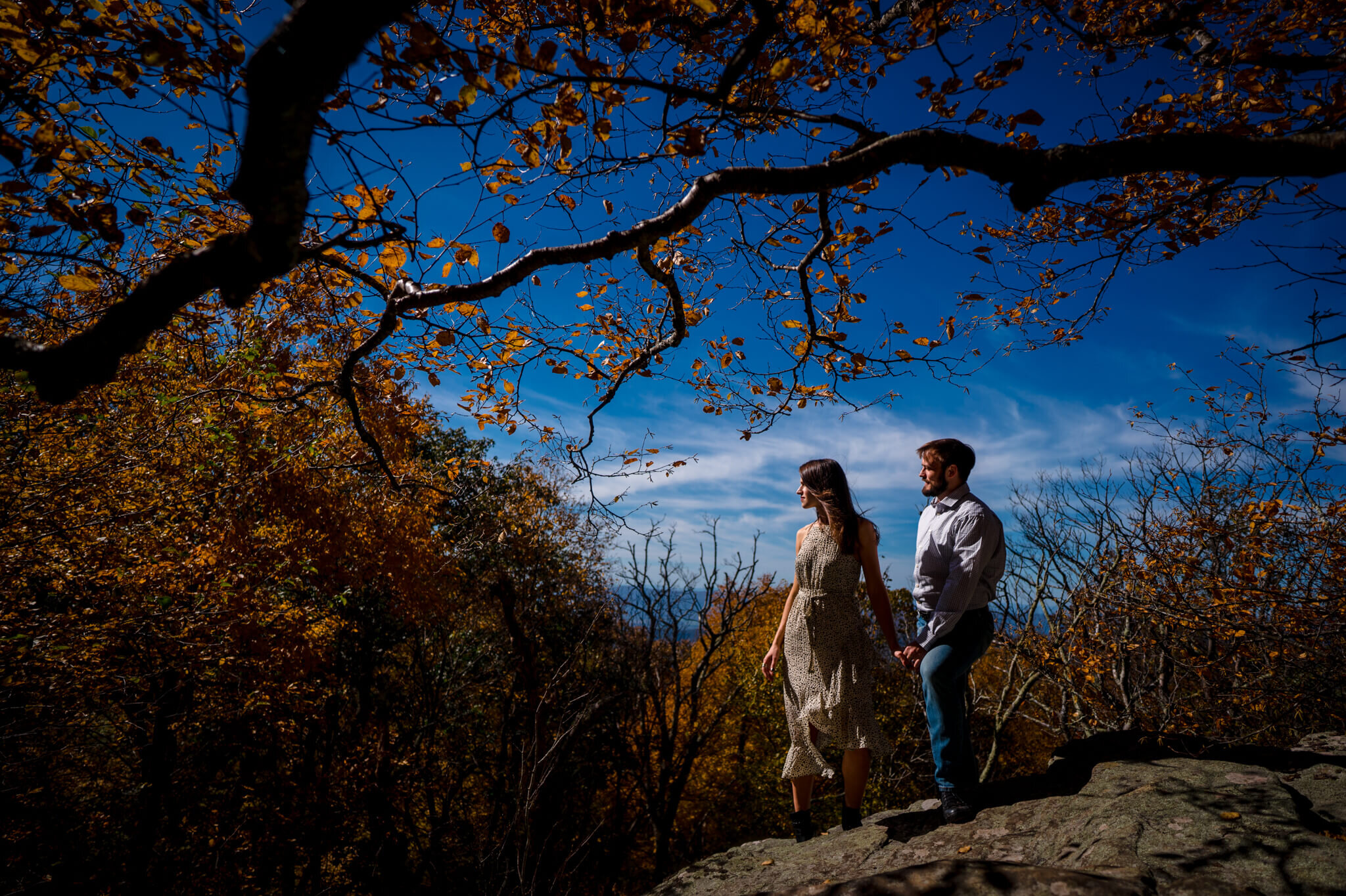 Bearfence-Mountain-Shenandoah-Anniversary-Session-Fall-Colors-Photography-by-Bee-Two-Sweet-18.jpg