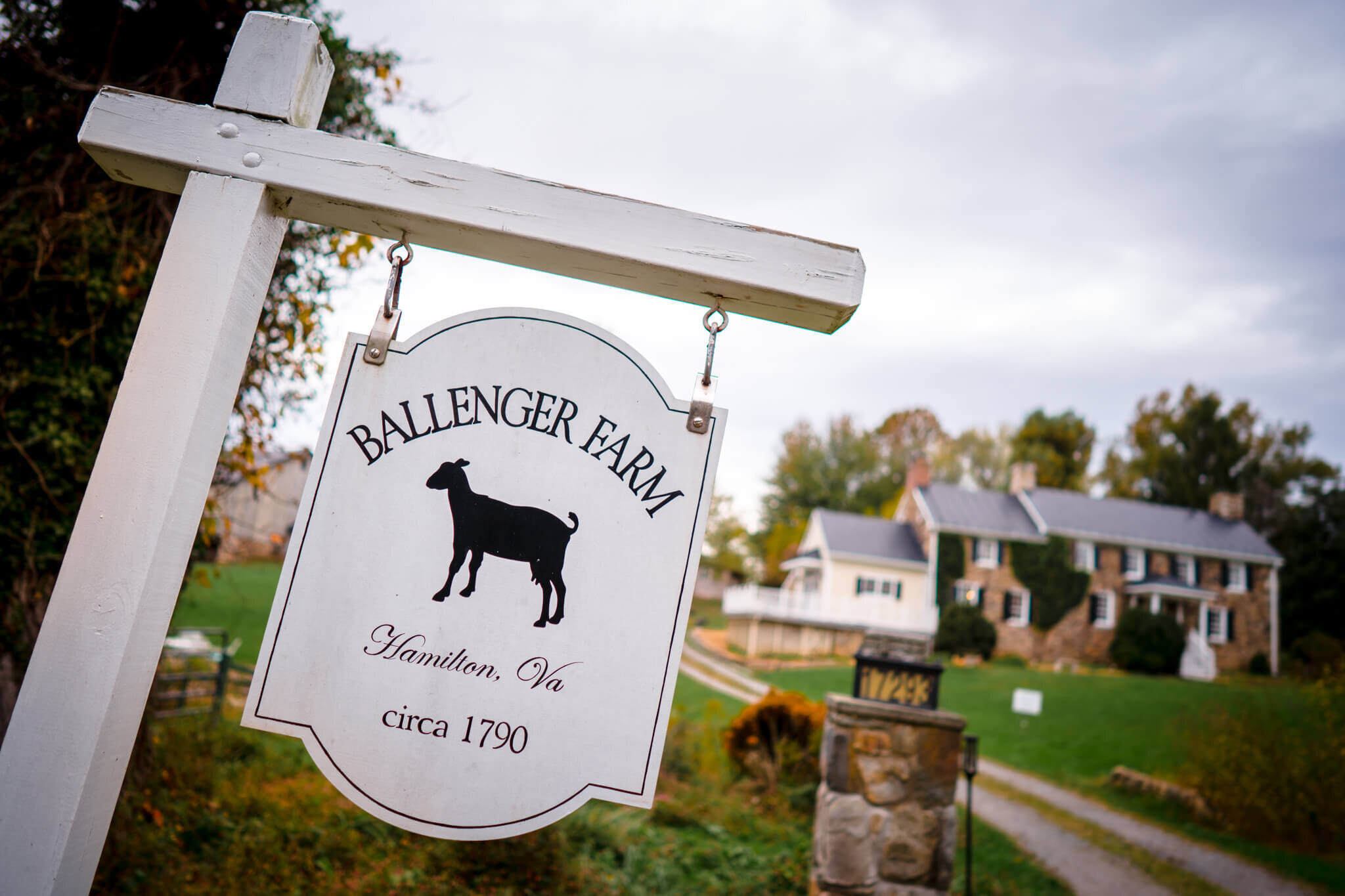 01-Pre-Ceremony-Ballinger-Farm-Hamilton-VA-Loudon-County-Mini-Wedding-Photography-by-Bee-Two-Sweet-10.jpg