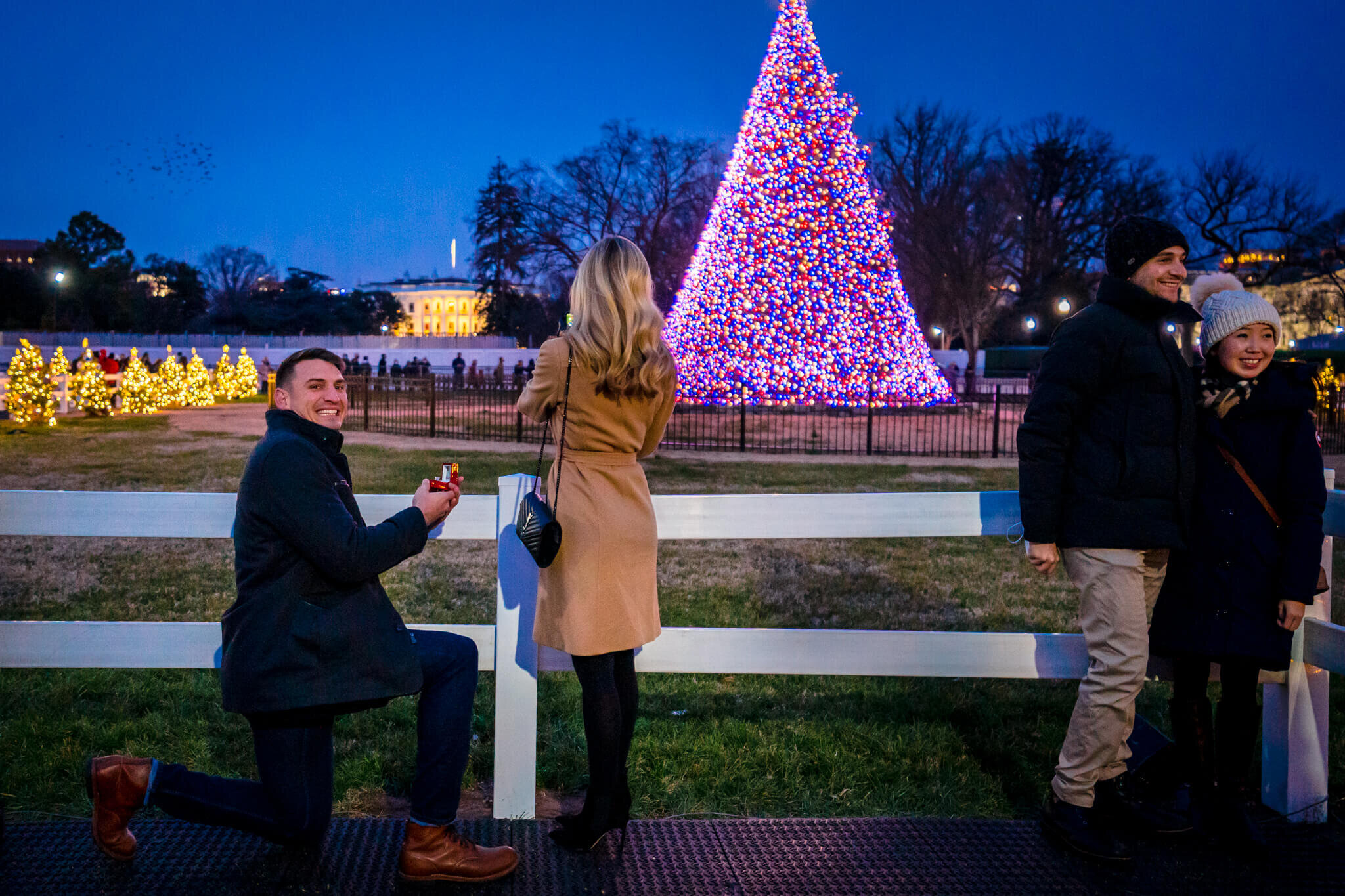 National-Christmas-Tree-Proposal-Washington-DC-Willard-Intercontinental-Engagement-Photography-by-Bee-Two-Sweet-13.jpg