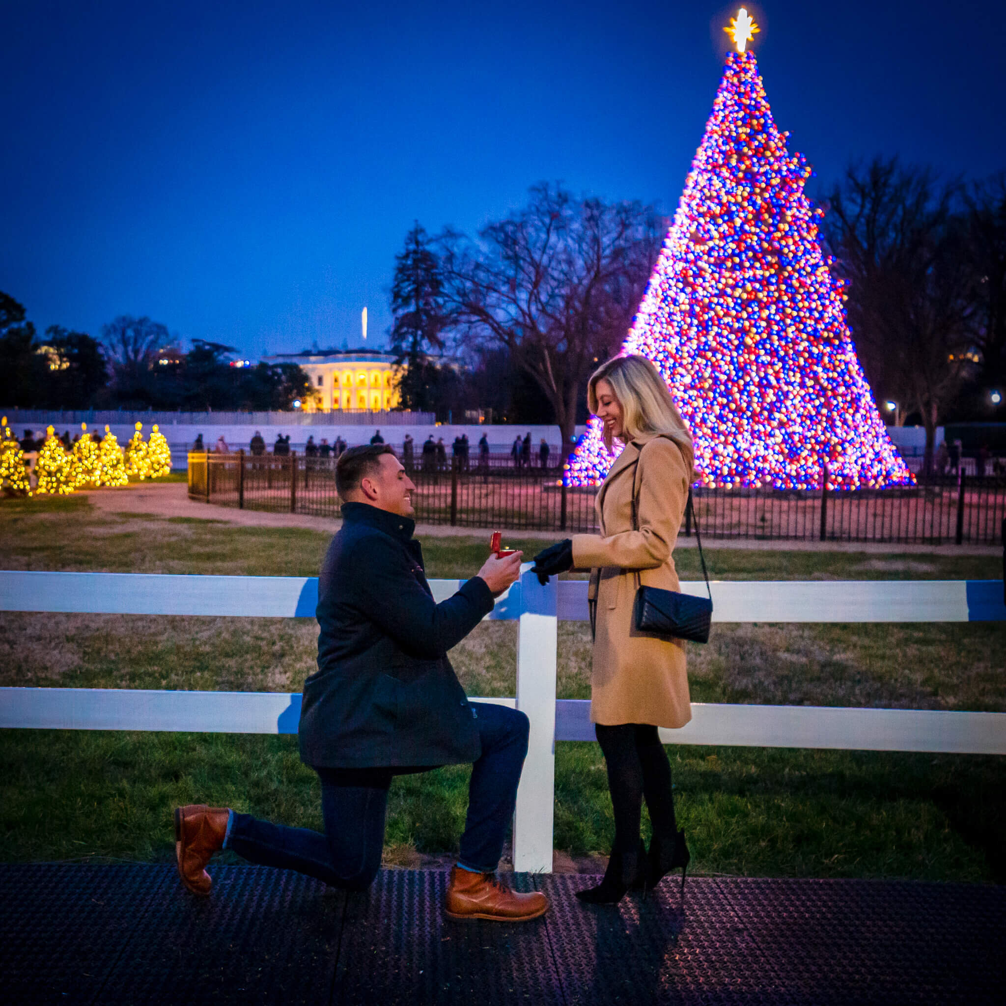 National-Christmas-Tree-Proposal-Washington-DC-Willard-Intercontinental-Engagement-Photography-by-Bee-Two-Sweet-17.jpg