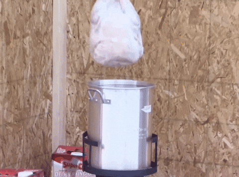 giphy-1.gif