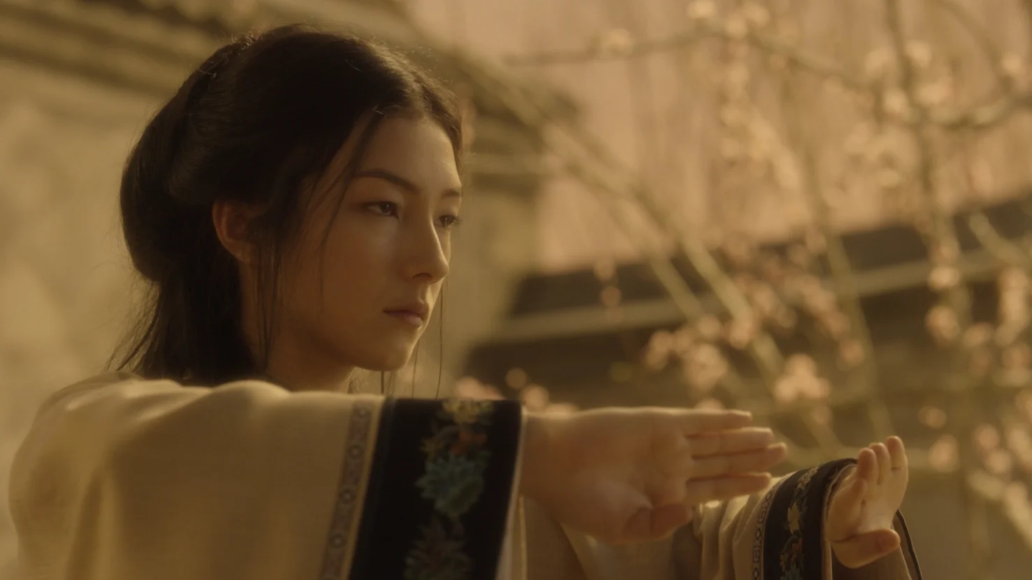 SDC_STILLS33_new_new.jpg